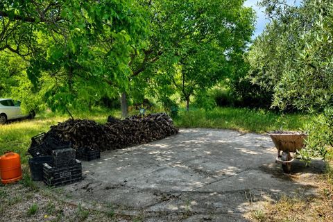 Villa a Ontinyent, Valencia, Ontinyent - € 220.000 | Ref: PNVL220 - foto 21